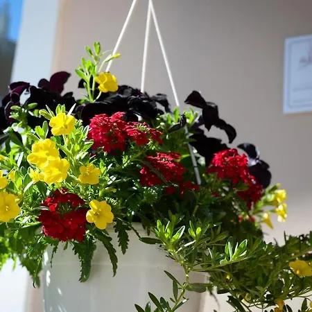 Vincze Vendeghaz Apartmán *