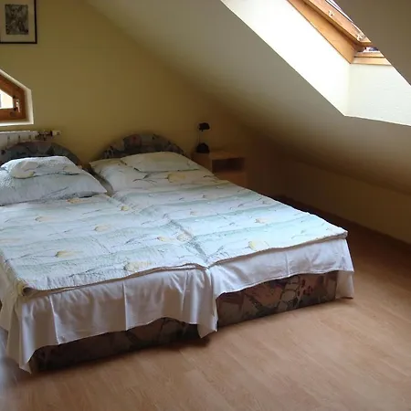 Vincze Vendeghaz Apartman