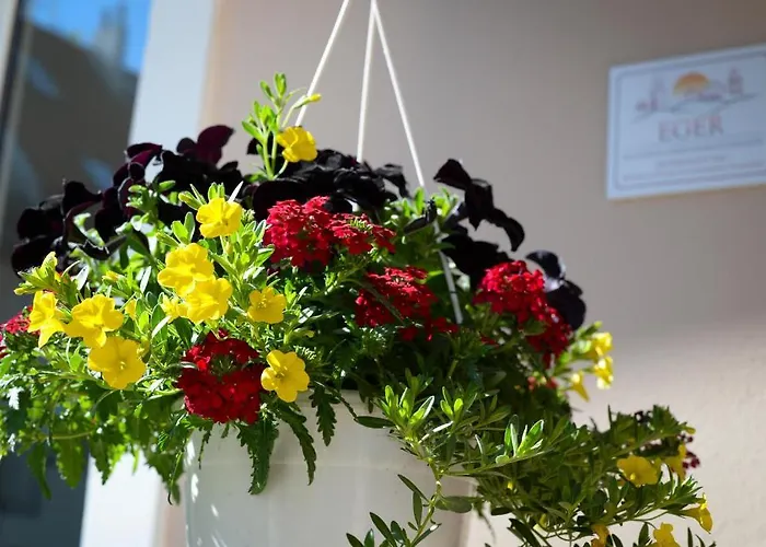 Vincze Vendeghaz Apartman *